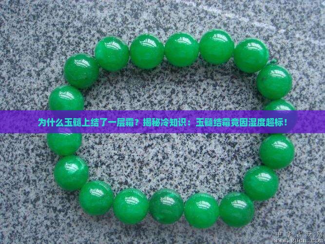 玉髓上结了一层霜