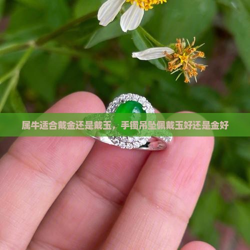 属牛适合戴金还是戴玉