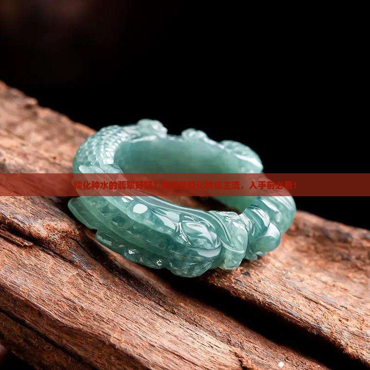 糯化种水的翡翠好吗