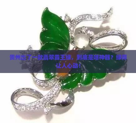 贵州翡翠霸王绿