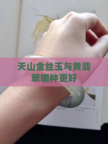 金丝玉天山翠黄翡翠哪个好