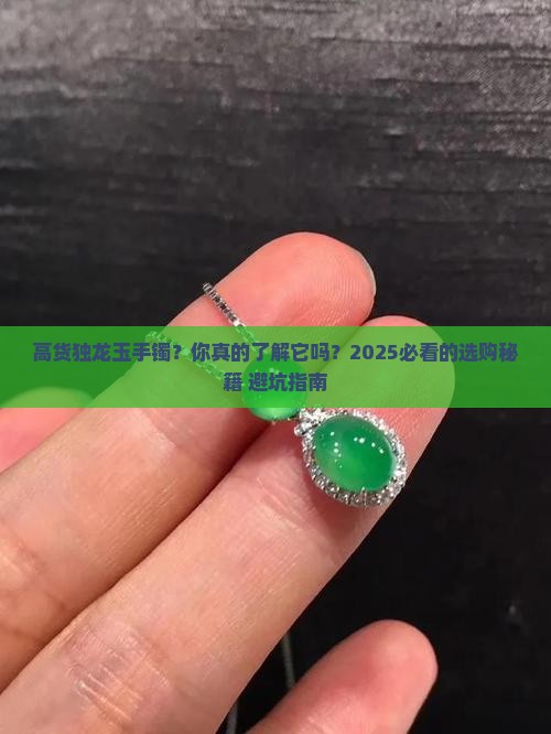 高货独龙玉手镯