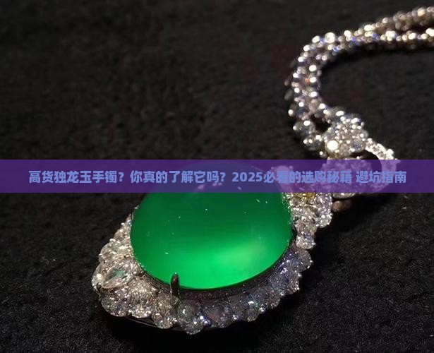 高货独龙玉手镯