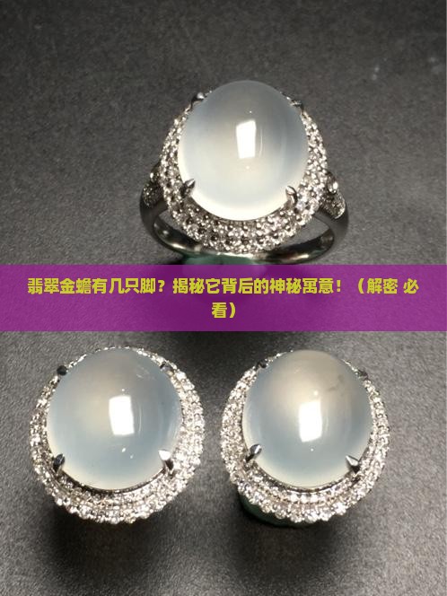 翡翠金蟾有几只脚