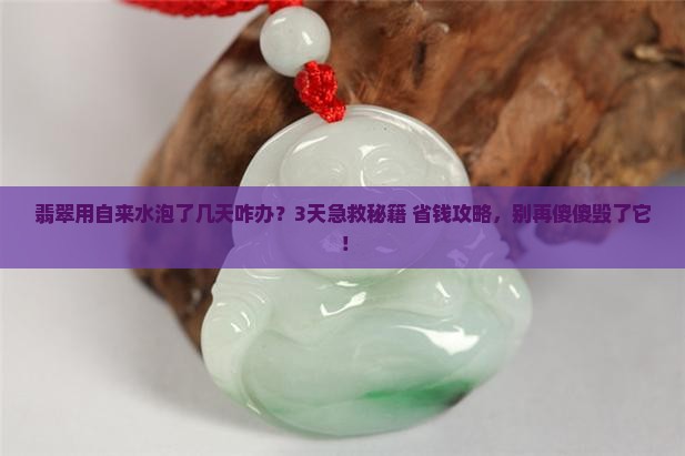 翡翠用自来水泡了几天咋办 翡翠用自来水泡了几天咋办