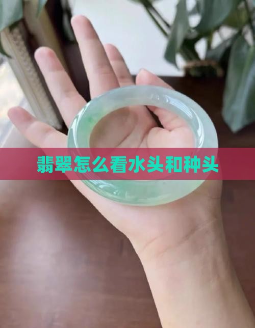 玉石怎么看水头和种头