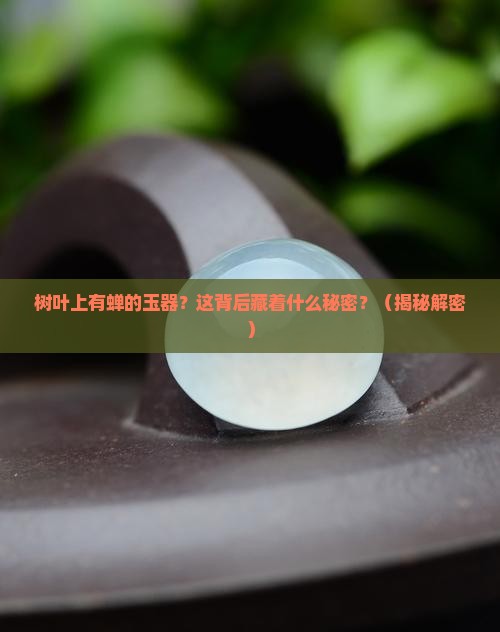 树叶上有婵的玉器