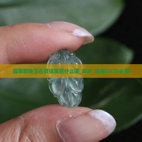 翡翠貔貅玉石项链寓意什么呢