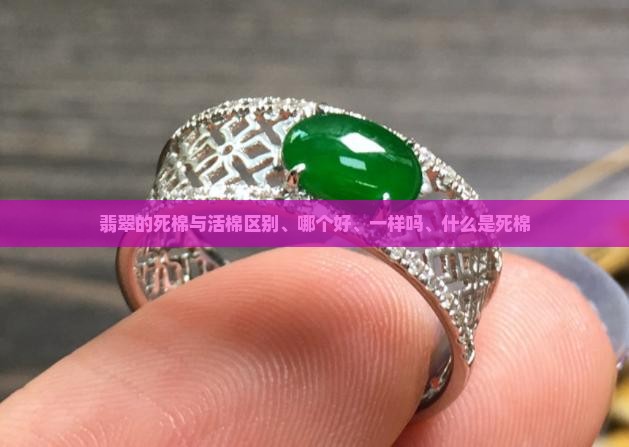 翡翠的死棉与活棉
