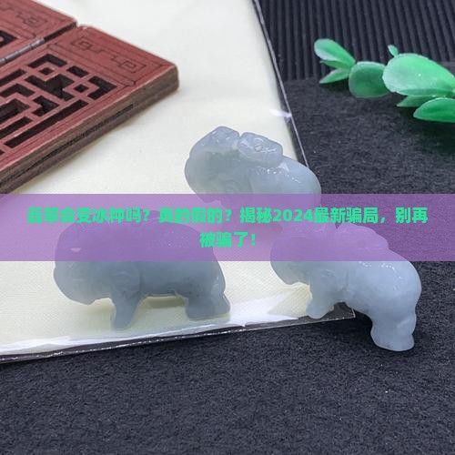 翡翠会变冰种吗是真的吗