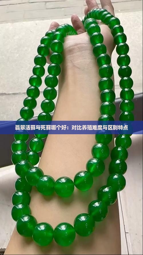 翡翠活藓与死藓哪个好:对比养殖难度与区别特点 翡翠活藓与死藓哪个好:对比养殖难度与区别特点