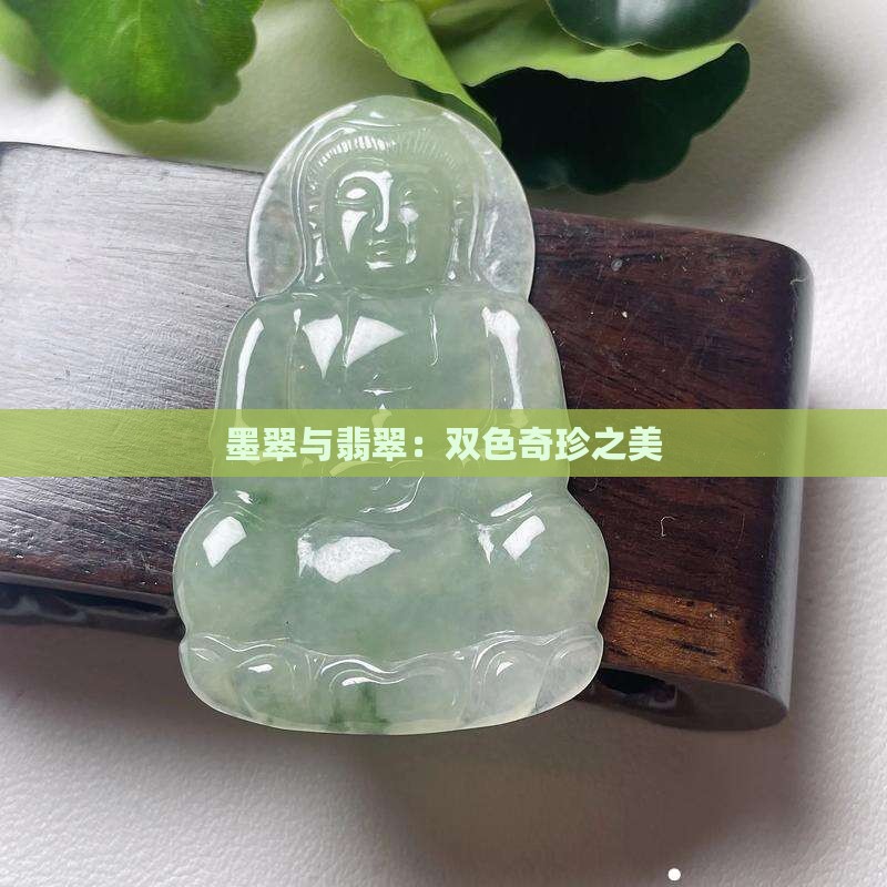 墨翠与翡翠:双色奇珍之美 墨翠与翡翠:双色奇珍之美
