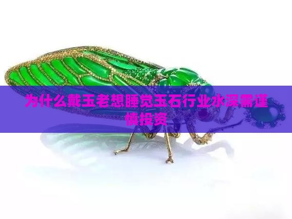 为什么戴玉老想睡觉玉石行业水深需谨慎投资