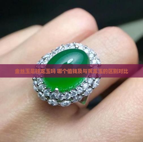 金丝玉是独龙玉吗 哪个值钱及与黄龙玉的区别对比