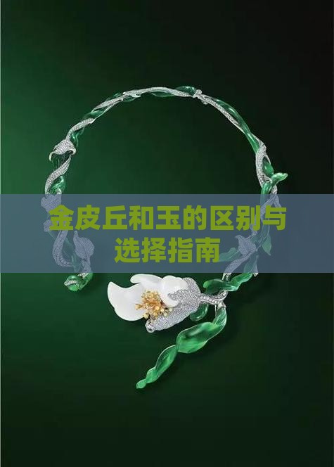金皮丘和玉的区别与选择指南