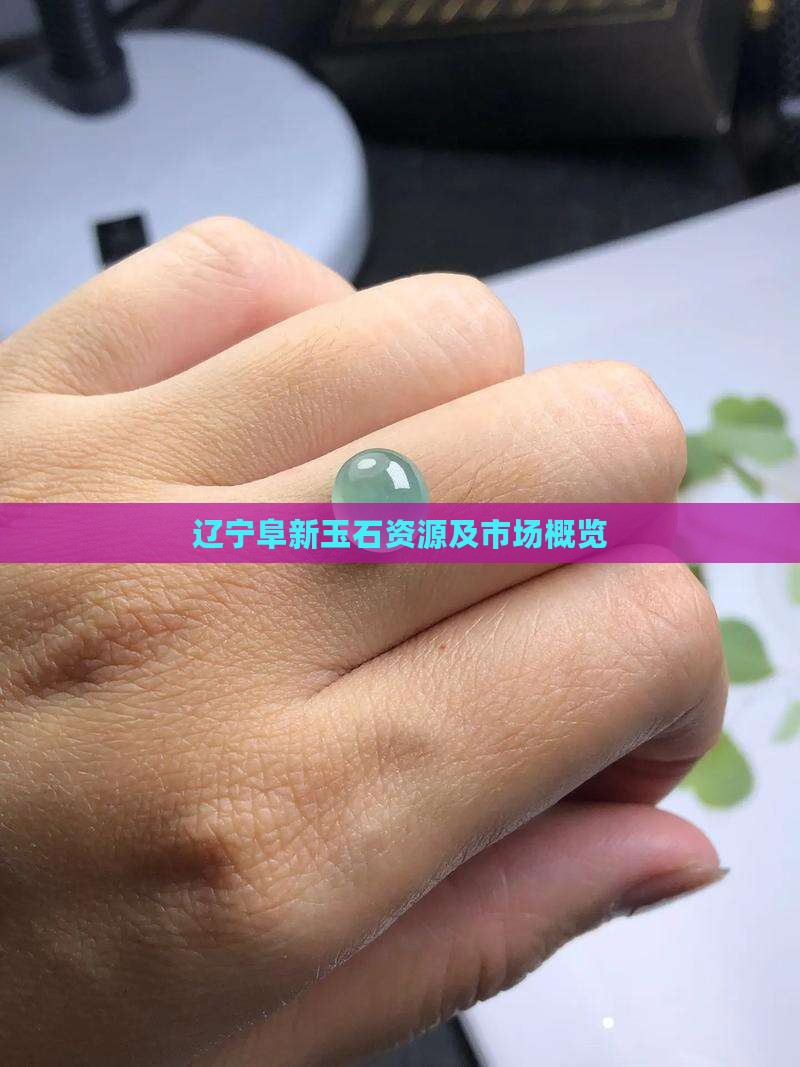 辽宁阜新玉石资源及市场概览