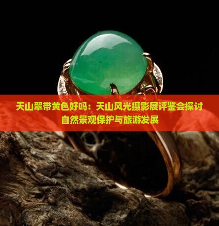 天山翠带黄色好吗：天山风光摄影展评鉴会探讨自然景观保护与旅游发展