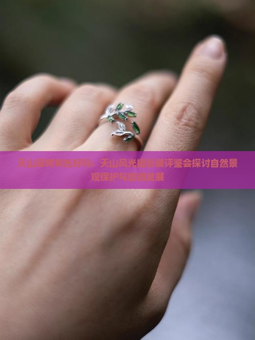 天山翠带黄色好吗：天山风光摄影展评鉴会探讨自然景观保护与旅游发展