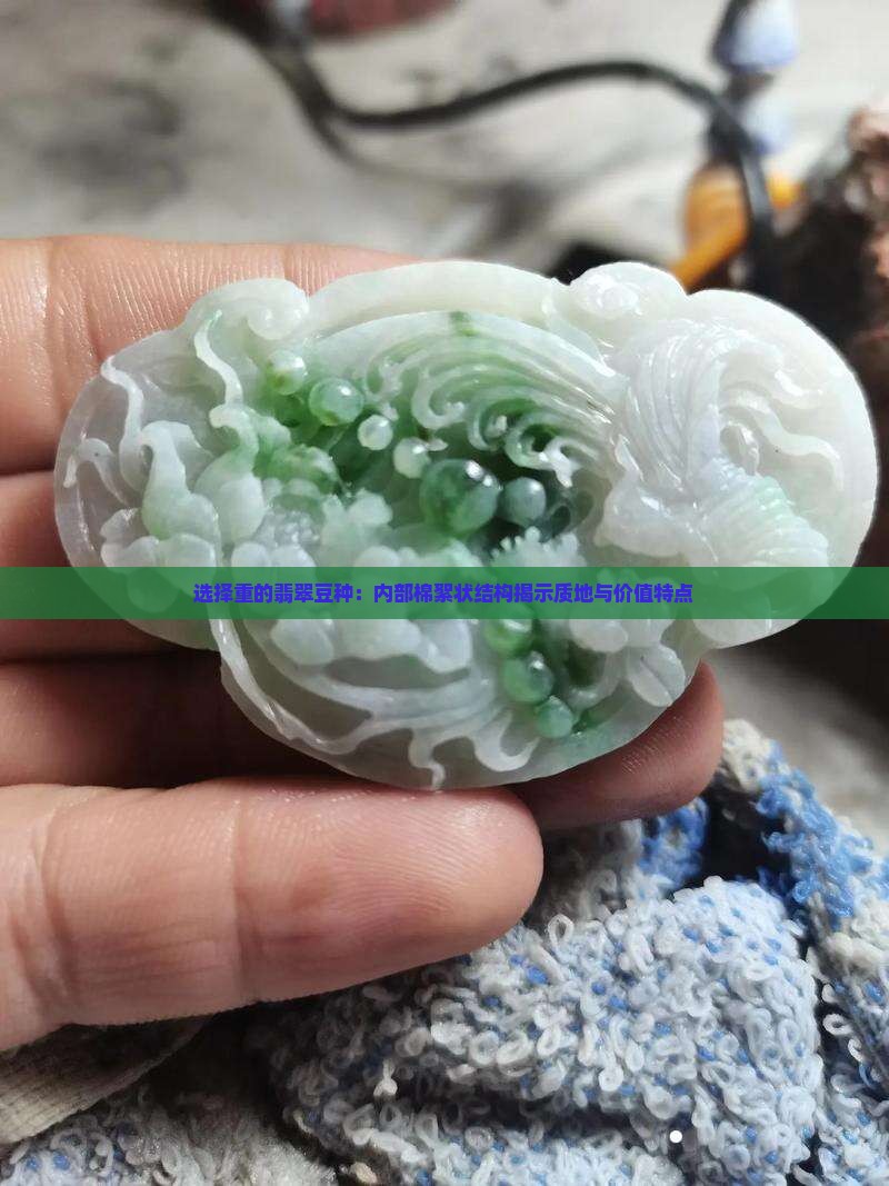 选择重的翡翠豆种：内部棉絮状结构揭示质地与价值特点