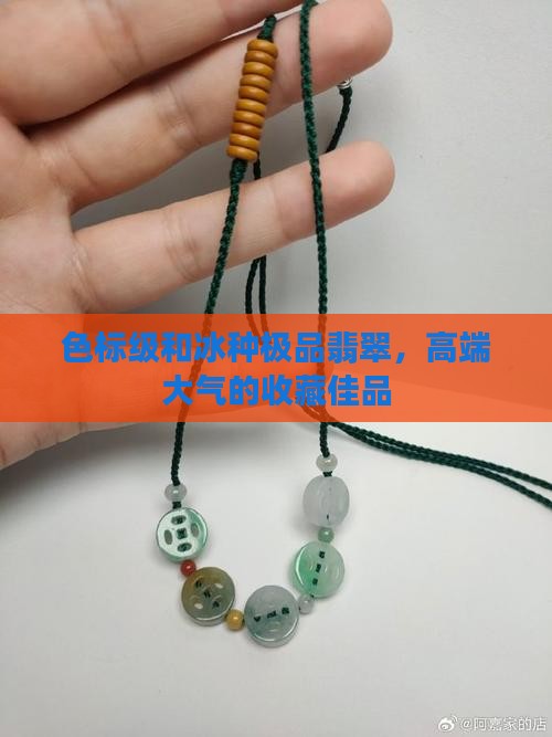 色标级和冰种极品翡翠，高端大气的收藏佳品
