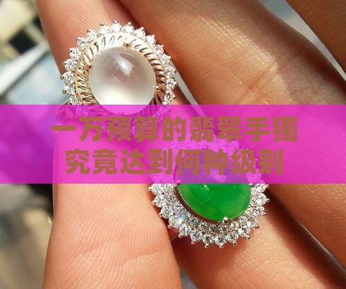 一万预算的翡翠手镯究竟达到何种级别