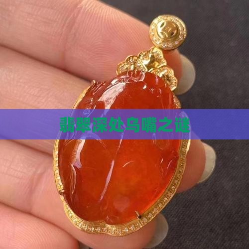 翡翠深处乌嘴之谜