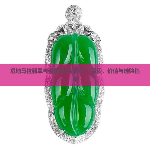 危地马拉翡翠与翡翠的全面对比：品质、价值与选购指南