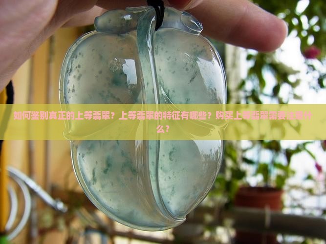 真正的上等翡翠