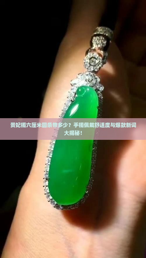 贵妃镯六厘米圆条带多少