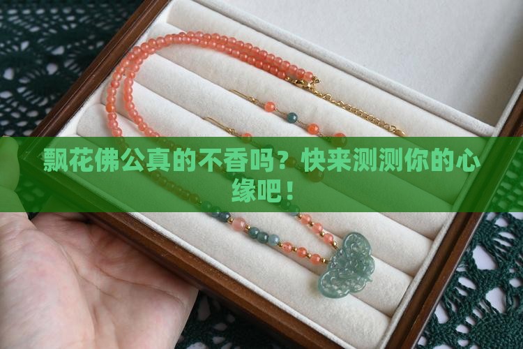 飘花佛公不好吗