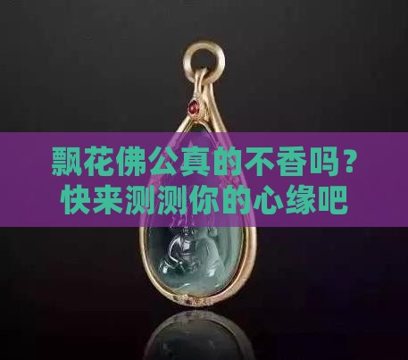 飘花佛公不好吗