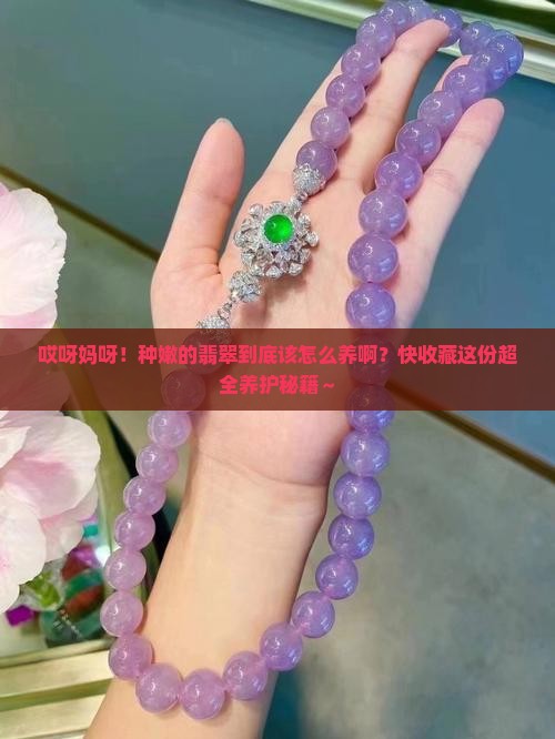 种嫩的翡翠怎么养