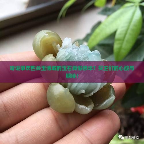肇庆四会玉博城的玉石是不是真的