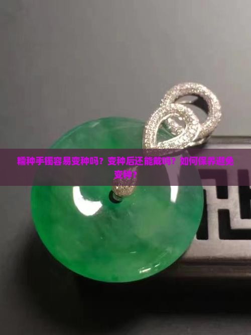 糯种手镯会变种吗