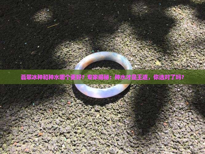 翡翠冰种和种水那个好