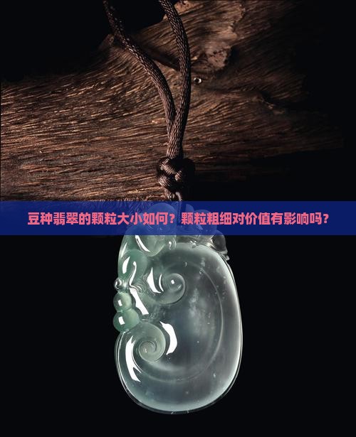 豆种翡翠颗粒多粗