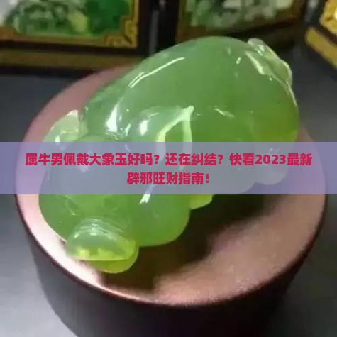 属牛男佩戴大象玉好吗