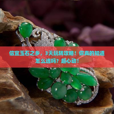 信宜玉石之乡 信宜玉石之乡