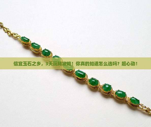 信宜玉石之乡 信宜玉石之乡