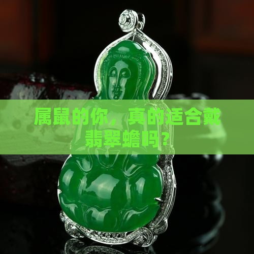 属鼠的人可以戴翡翠蟾吗 属鼠的人可以戴翡翠蟾吗