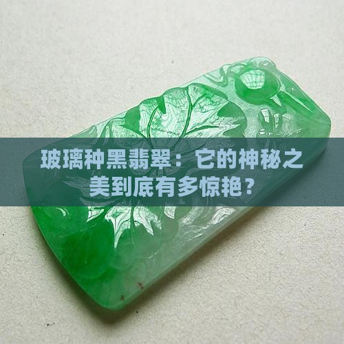 玻璃种黑翡翠