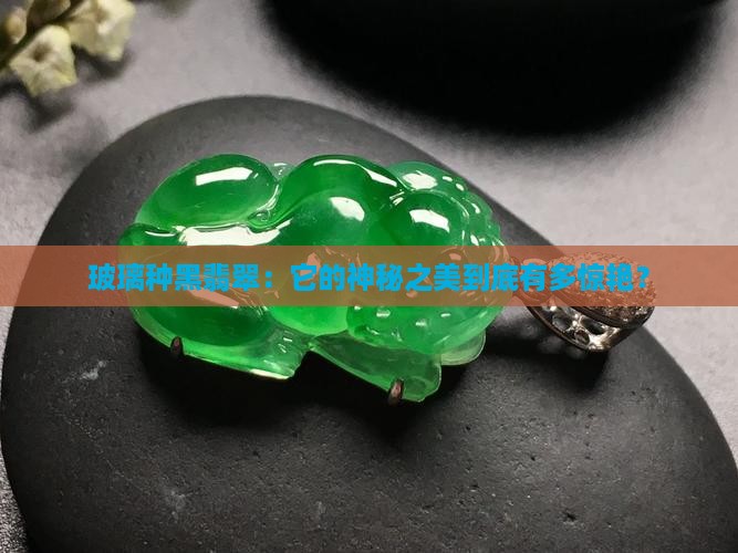 玻璃种黑翡翠