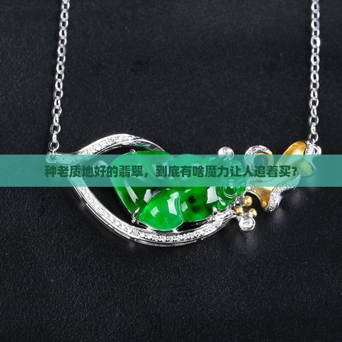 我们买翡翠追求的当然都是种老质地好的啦
