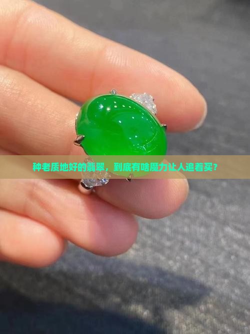 我们买翡翠追求的当然都是种老质地好的啦