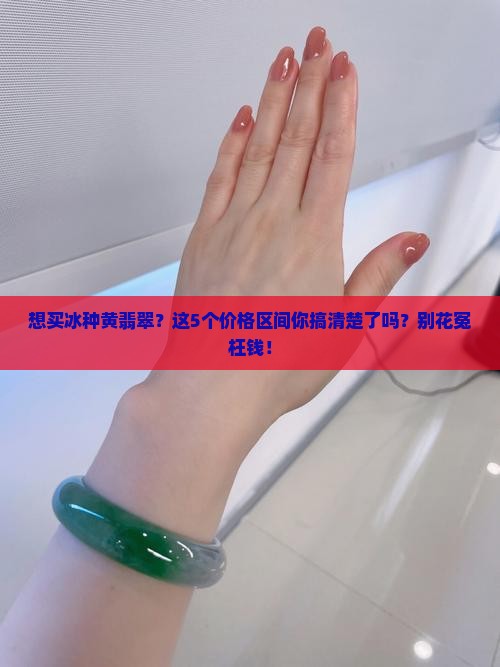 冰种黄翡翠什么价