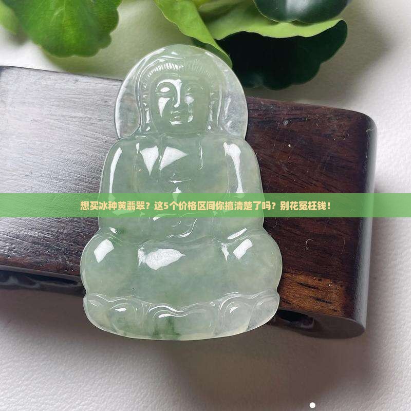 冰种黄翡翠什么价