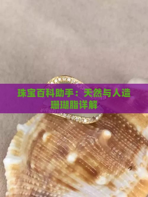 全玉化珊瑚脂