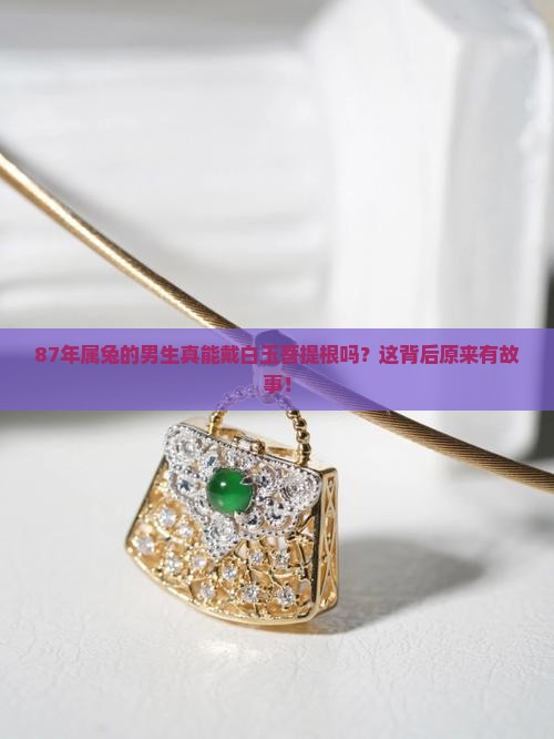 87年属兔的男可以戴白玉菩提根