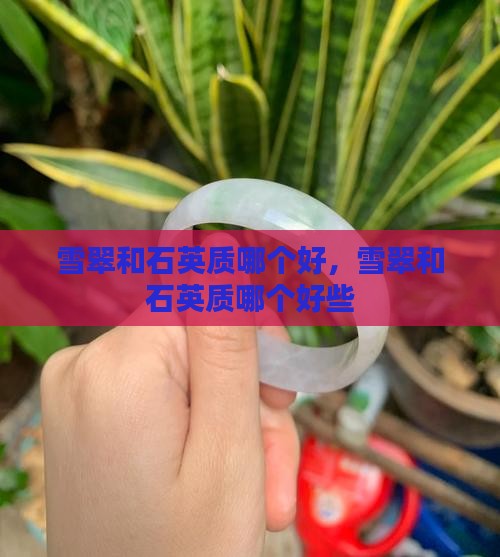 雪翠和石英质哪个好