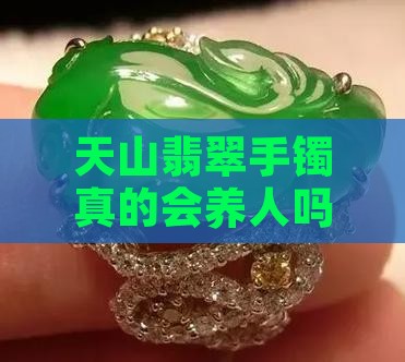 石英质天山翠手镯的会养人吗